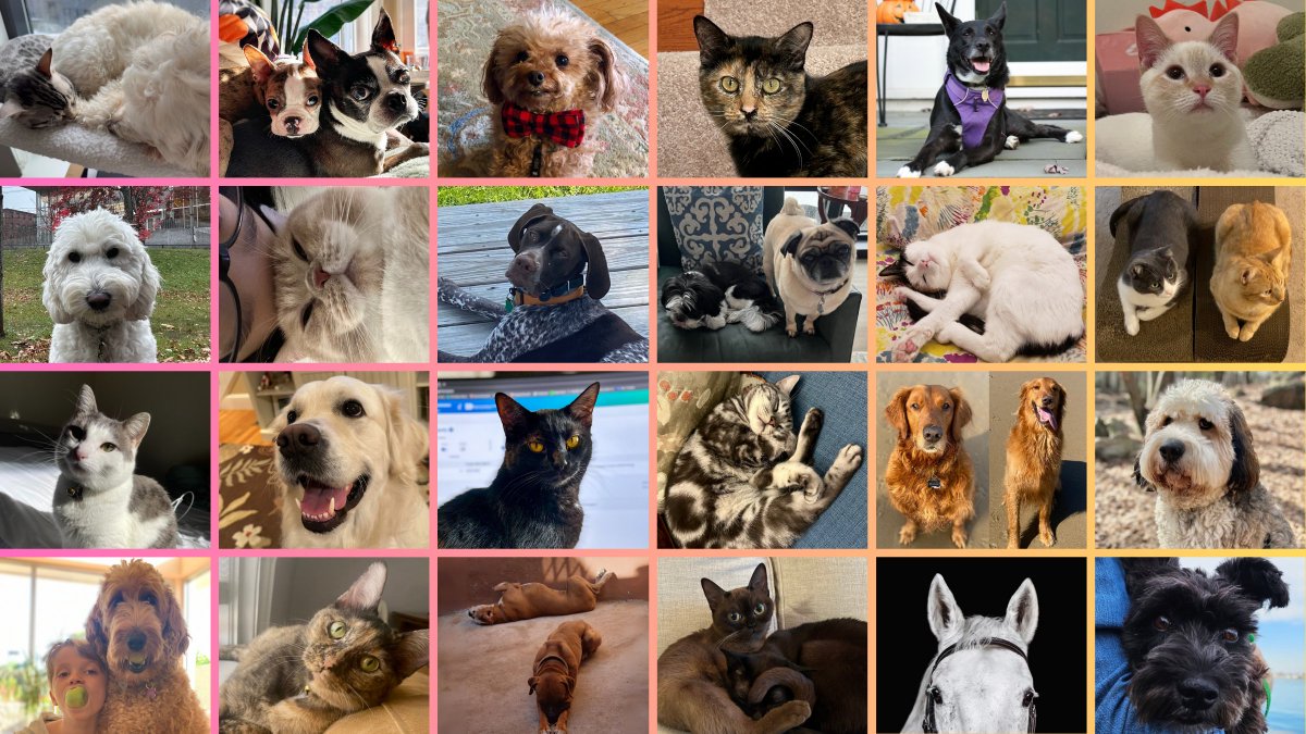 It's the most wonderful day of the year! Happy National Pet Day 🐾 Our students, faculty, researchers, postdoctoral fellows, and staff all have something in common. We LOVE our pets! Join us as we spotlight a handful of our adorable pets in honor of #nationalpetday!