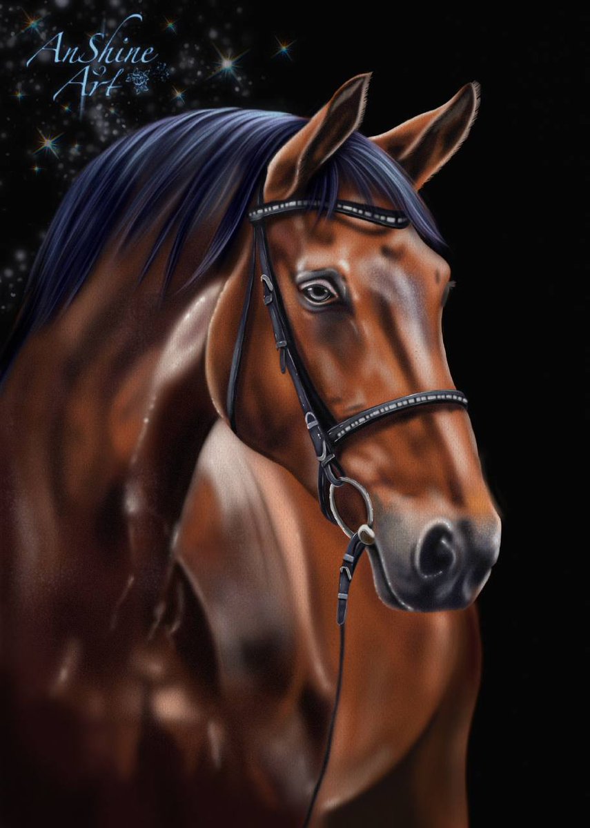 A noble horse
#artist
#horse 
#digitalart