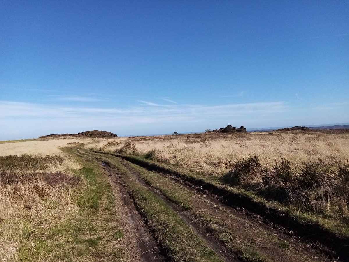 Book off to printer, so at last I can treat myself to a walk on the moors #Brittany #Finistère #Bretagne