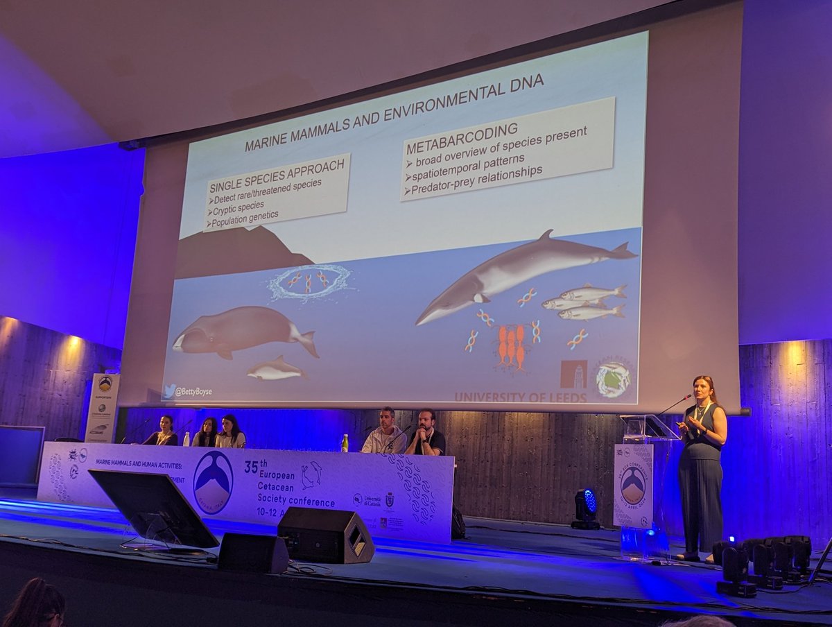 Fantastic talk from @BettyBoyse on her PhD work about using #eDNA to track spatiotemporal variation in habitat use by cetaceans and their prey. More details here: doi.org/10.1101/2023.1… #ECS #ECSconference2024 @ScienceLeeds @LeedsEcoEvo @MariaBeger