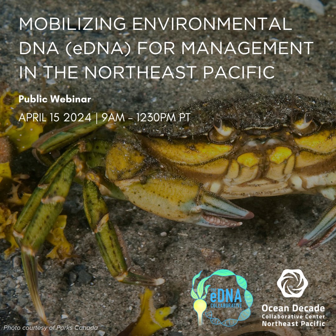 OceanDecadeNEP tweet media