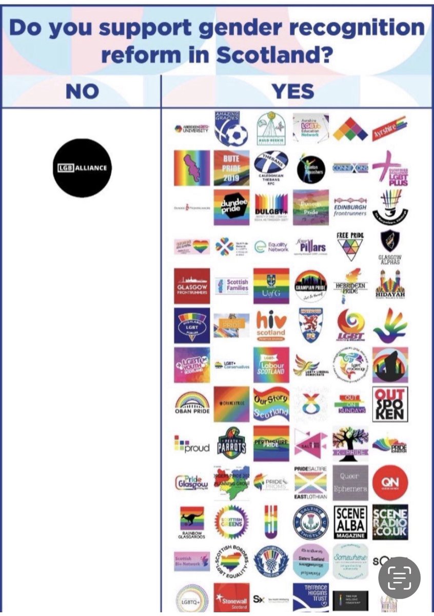 We campaigned endlessly to publicize the fact that gender identity dogma was leading some distressed LGB teens to seek harmful medication in a bid to “change their gender”. We pointed out the dogma was essentially homophobic. We opposed self-ID for the same reason./5