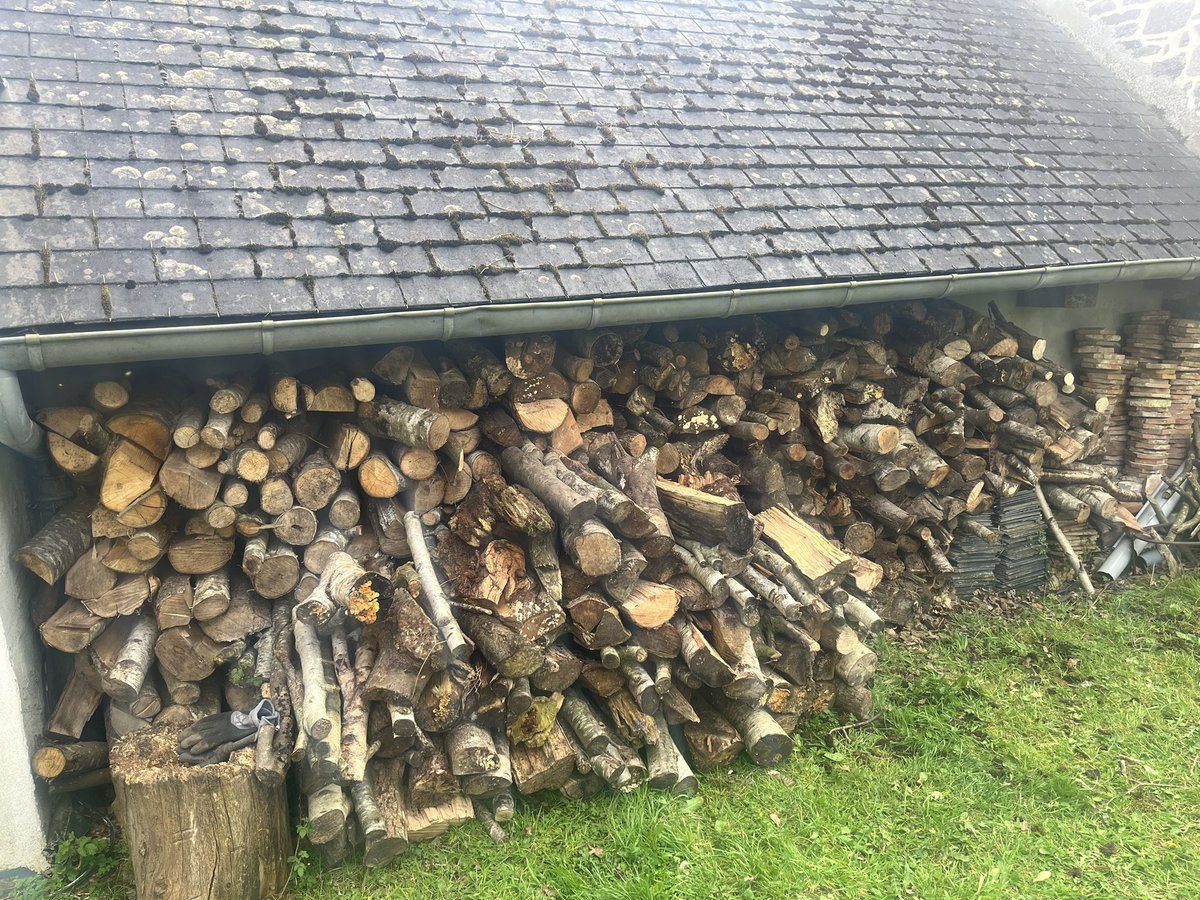 I *may* have overdone the bois de chauffage order