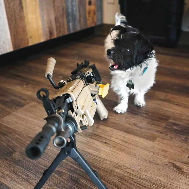 triumph.guns is taking the term 'watch dog' to a whole new level! 😂 #FNAmerica #NationalPetDay2024