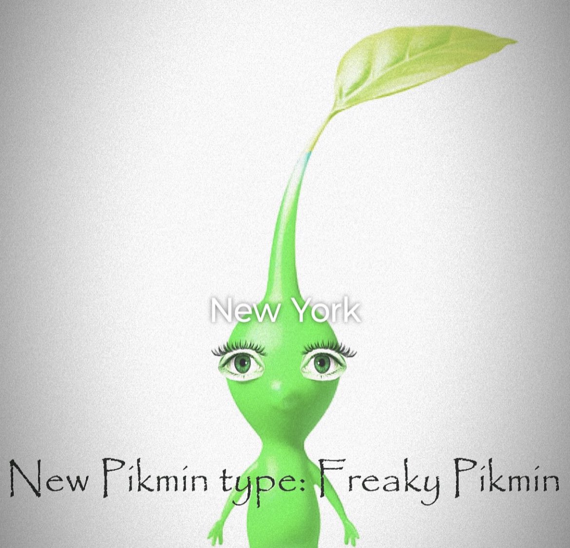 so i run a pikmin memepage exclusively on instagram and i have one other person co-admining it for me because i dont use IG
and of course they do their own thing in order go boost our account numbers

i open the app after god knows how long and this is the first thing i see