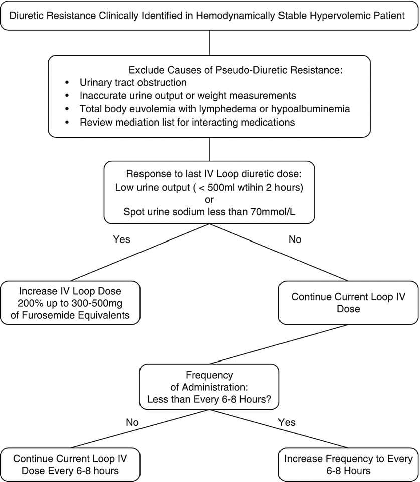 🔴 Diuretic Resistance in a Patient with Acute Heart Failure

thoracickey.com/diuretic-resis…
#CardioTwitter #CardioEd #CAAKI
#Epeeps #CardioTwitter #EHRA2024
 #CardioEd #Cardiology #FOAMed #meded #MedEd #Cardiology #CardioTwitter #cardiotwitter #cardiotwiteros #CardioEd #MedTwitter