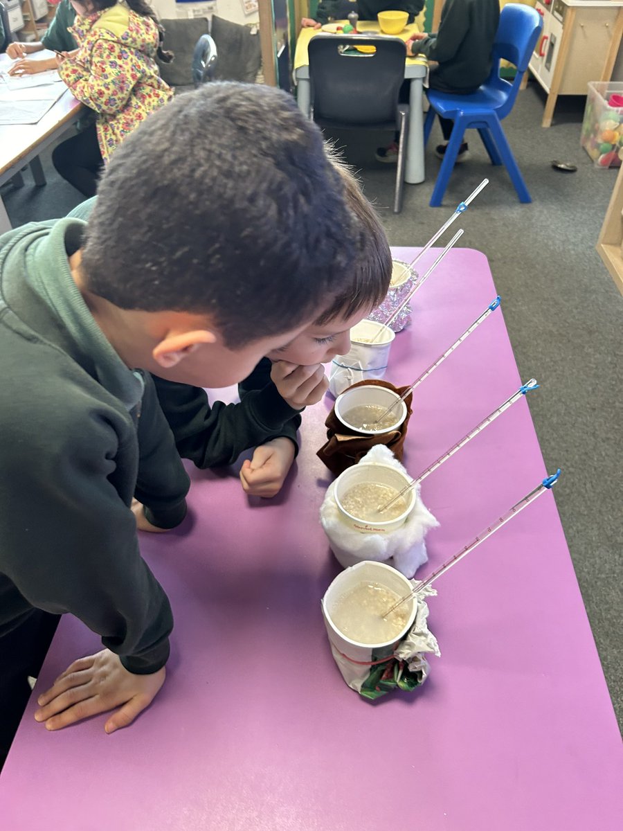 Heddiw we planned and carried out a science experiment to see which material was the best thermal insulator for Goldilocks porridge!