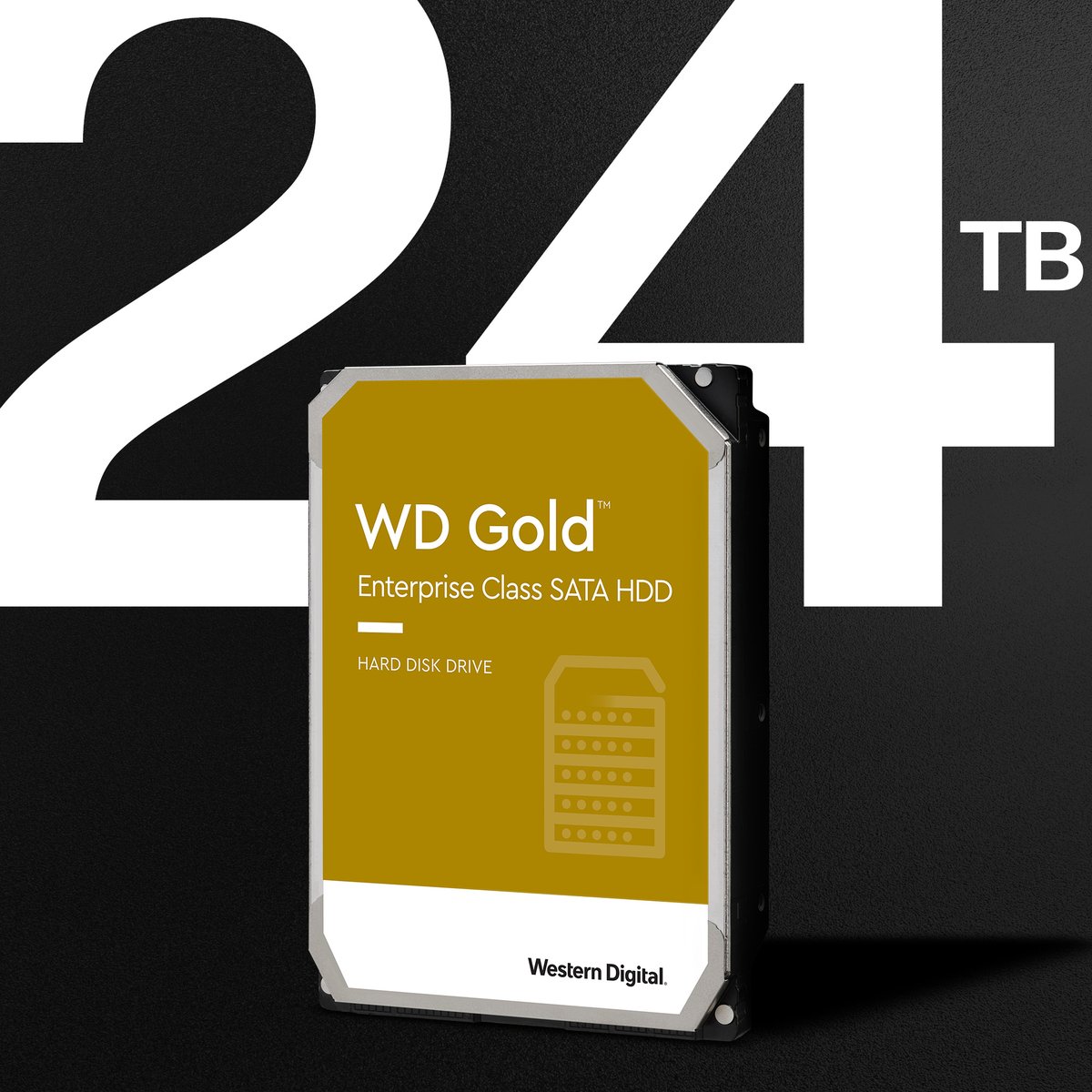 Go for Gold. Capacities up to 24TB, now available. Shop now: bit.ly/3PXODbO
