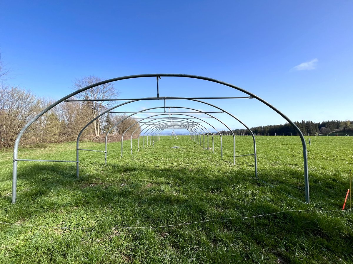PierreMariotte's tweet photo. Rainout shelters are ready for drought manipulation this summer โ๏ธ๐ง
#DryMountProject @agroscope
@emilie_roinel https://t.co/d1zK6ofnP3
