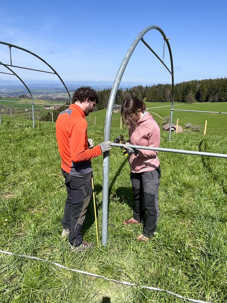 Rainout shelters are ready for drought manipulation this summer ☀️💧
#DryMountProject <a href="/agroscope/">Agroscope</a> 
<a href="/emilie_roinel/">Emilie Roinel</a>