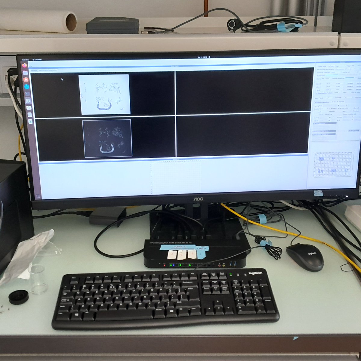 Excited to start playing with our latest toys: Three (!) mini fluorescence microscopes from @cephlainc that fit in an incubator to track individual worms from birth to death. Thanks @hongquan_li @PrakashLab for developing and helping us to get started!