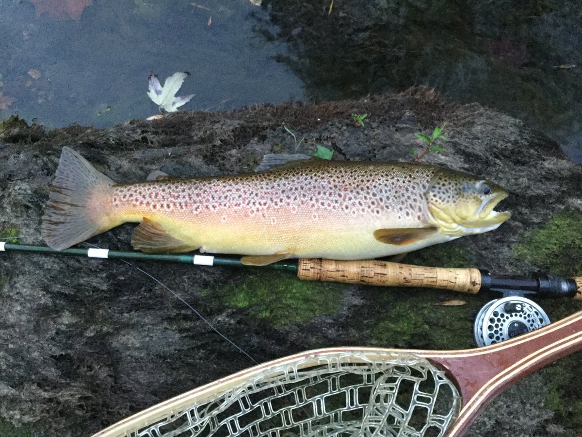 Arkansas’s Little Red River is an ecological and economic treasure, but how do we care for the anglers’ haven that's given so much to us? Find out in the premiere of “Arkansas Wild: The Story of Trout Tourism on the Little Red River” at 7 p.m. CT. More: benjaminrgarner.com