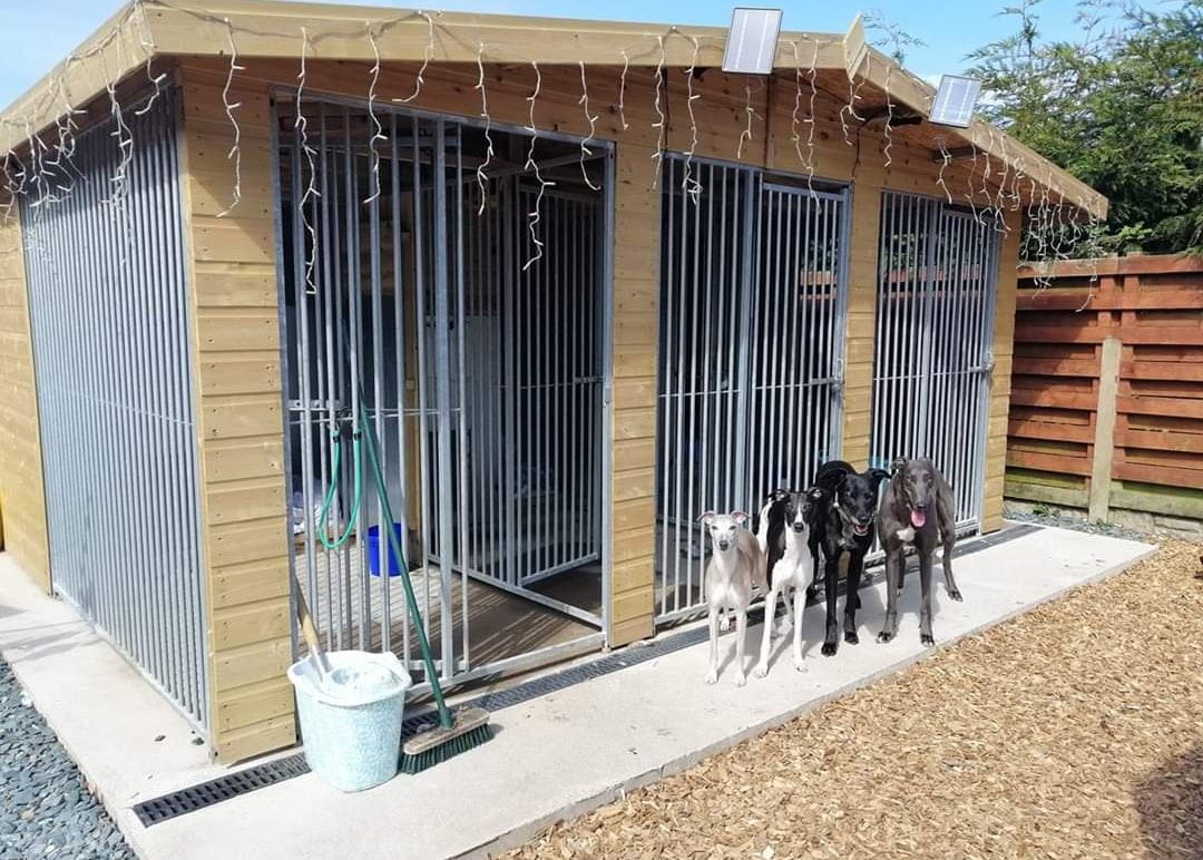 BenchmarkKenne1's tweet photo. Transform your furry friend's world with the finest kennels in the UK! Our premium kennels are more than just shelters – they're cosy homes designed for ultimate canine comfort. #workingsdogs #dogs #dogsofinstagram #gundogs #huntingdog #Springerspaniel #englishcocker #retriever https://t.co/64FAVrGAIO