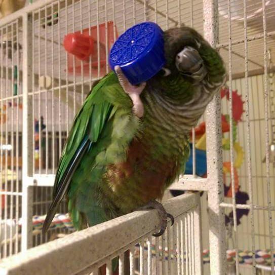 Lara Black tweet media