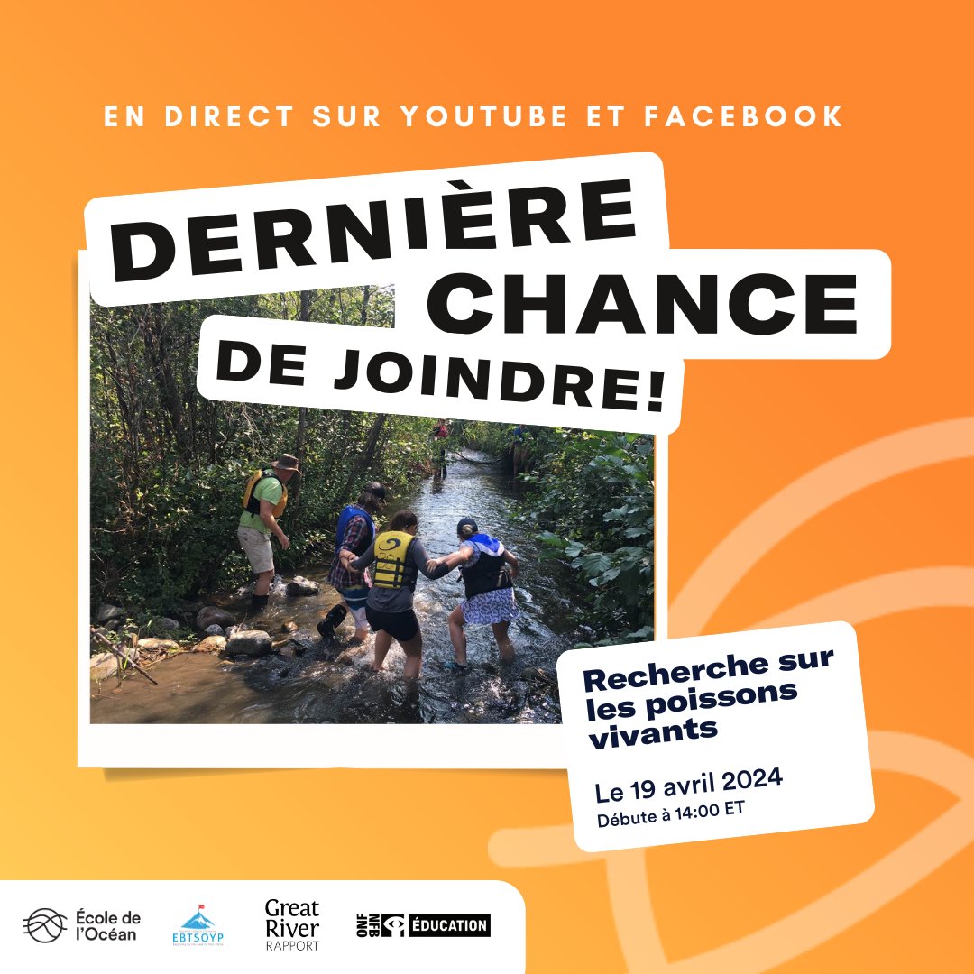 École de l’Océan 🐋 tweet media