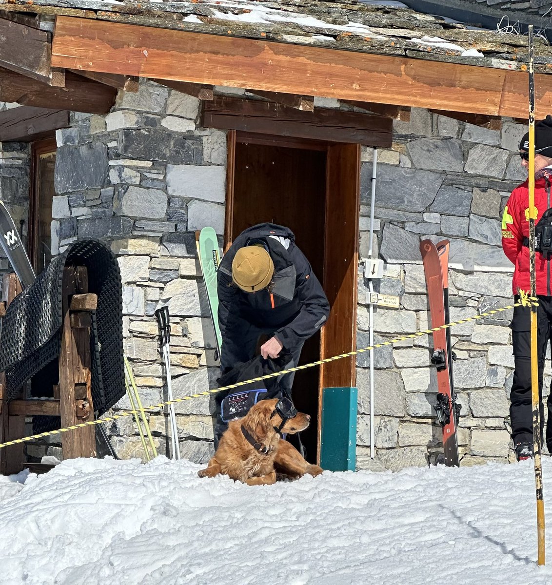 Ski patrol dogs in their goggles …