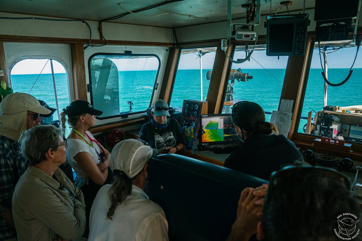 Estamos muy entusiasmados de realizar un nuevo Crucero de Observación de Vaquita este año. Aquí les compartimos algunas postales de lo que fue la edición pasada del Crucero, en mayo de 2023. #Vaquita #SeaShepherd #Mexico
