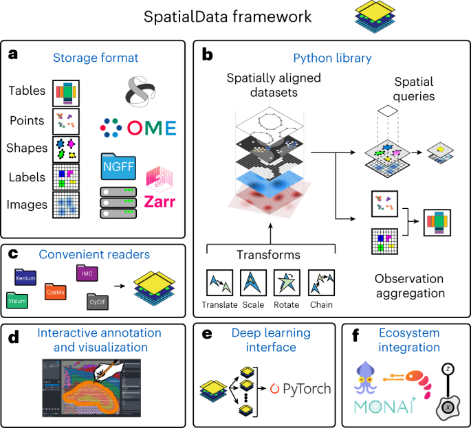Looking for a way to share your spatial omics datasets? If you haven't checked out the #SpatialData article (link) or code (quoted tweetorial), now may be the time. #OMENGFF images🔬integrated with #AnnData tables 📑 all wrapped into #Zarr packages. 🥰 doi.org/10.1038/s41592…