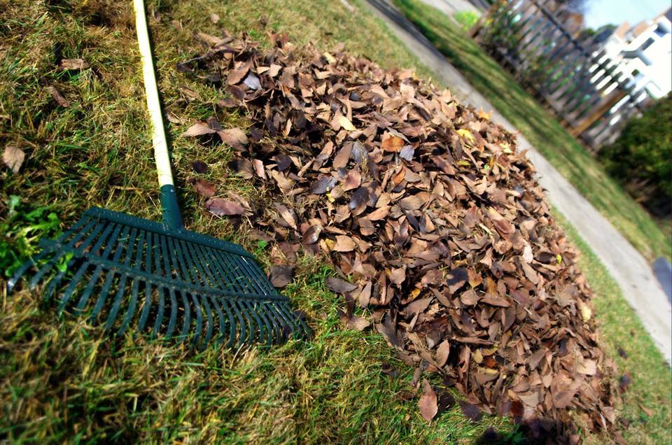 REMINDER: Yard waste pickup begins Tuesday, April 16. Yard waste should be put out with trash & recycling on your normal pickup day. Next week's pickup will be on a one-day delay due to the Patriot's Day holiday on Monday, April 15. Learn more: somervillema.gov/yardwaste.