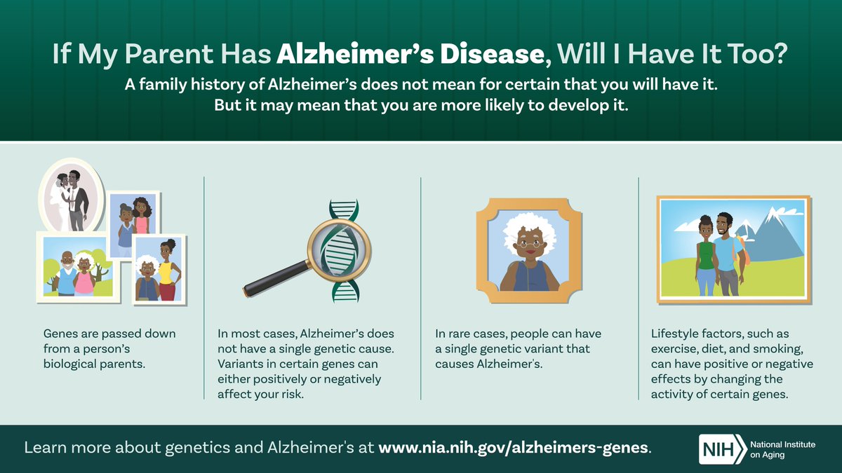 Many people wonder if Alzheimer’s disease runs in their family. A family history of Alzheimer’s does not mean for certain that you will have it. But it may mean that you are more likely to develop it.

Read more at nia.nih.gov/health/genetic… #Alzheimers #AlzheimersDisease #NIAHealth