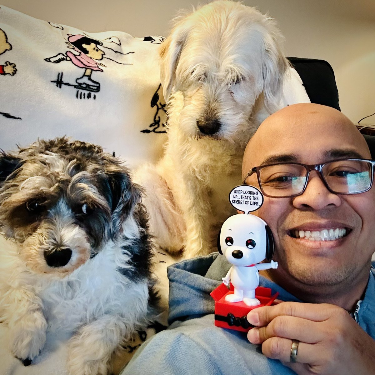 Happy #NationalPetDay🐶🥰 everyone! Give your pets some crazy #love today - they deserve it! 😄👑👍🏽 #dog #pup #fun #Funko #FOTM #Funatic #FunkoFamily @originalfunko