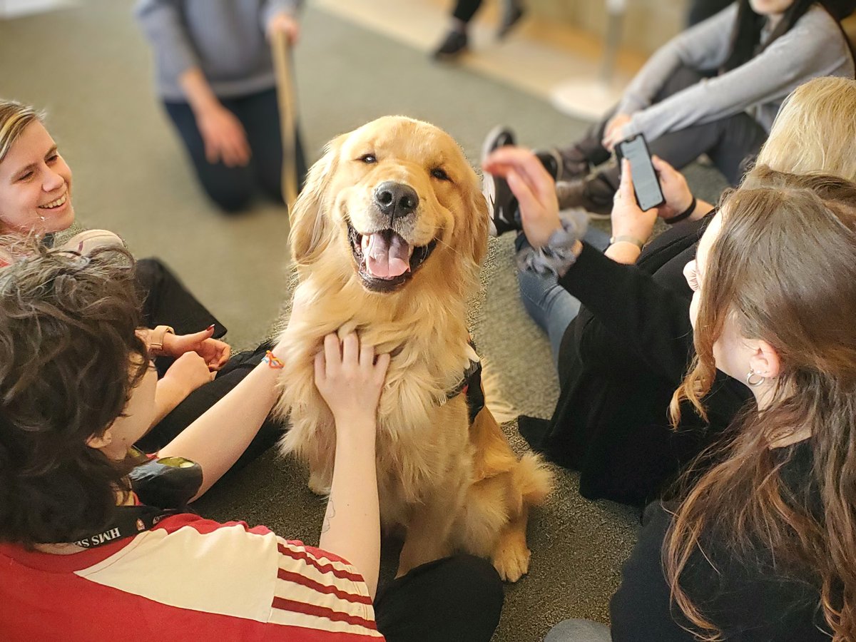 Happy #NationalPetDay2024!