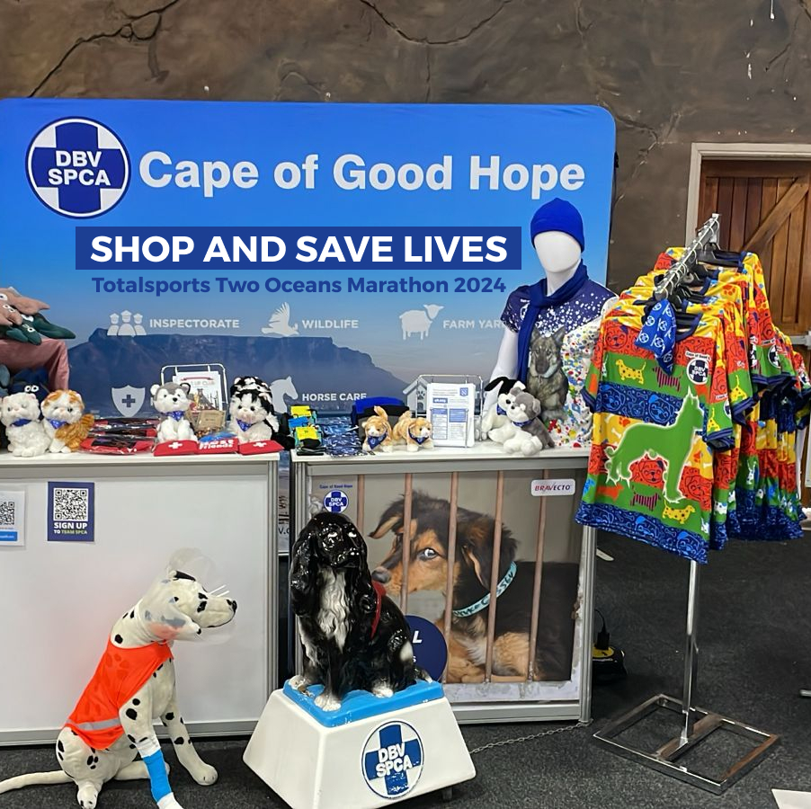 capespca's tweet image. 🏃🏽‍♀ See you at our stand where you can save lives while you shop! Sun Exhibits, GrandWest

Thu, 11 Apr: 10am – 8pm
Fri, 12 Apr: 10am – 8pm
Sat, 13 Apr: 10 am – 2pm

#TotalsportsTwoOceansExpo  #MarathonMania #ConquertheCurrent  #TeamSPCA #CapeSPCA  #BravectoSA #MSDPetsSA