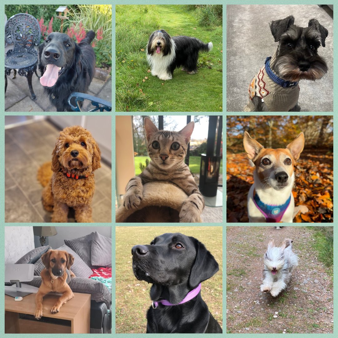 Did you know today is National Pet Day? Paws for a moment to meet some of Scottish Building Society’s pets. Drop a comment below to introduce us to your furry friends.