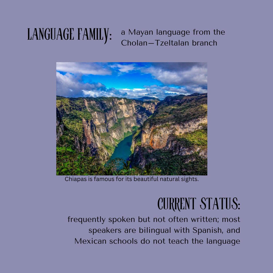 Let's learn more about Tzeltal, an indigenous language spoken in Mexico! It is always interesting to learn more about languages and its history. #IndigenousLanguages #Tzeltal #Chiapas #chiapasmexico