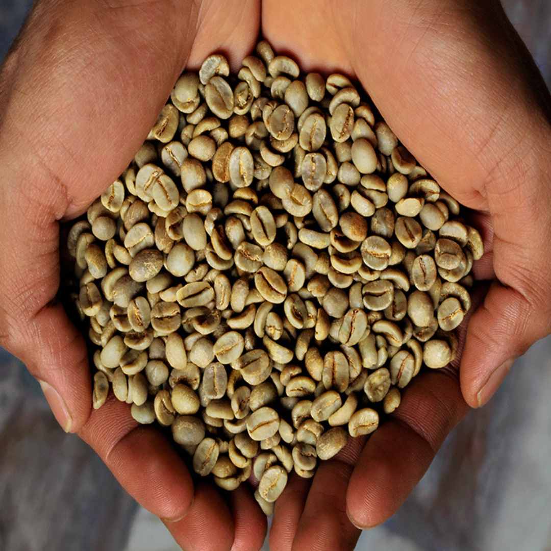 The quality of illy coffee is a direct outcome of a sustainable approach that relies on a close relationship with the earth and our direct trade relationship with our growers that harvest and select only the very best 1% of arabica beans. #illycoffee #RegenerativeAgriculture