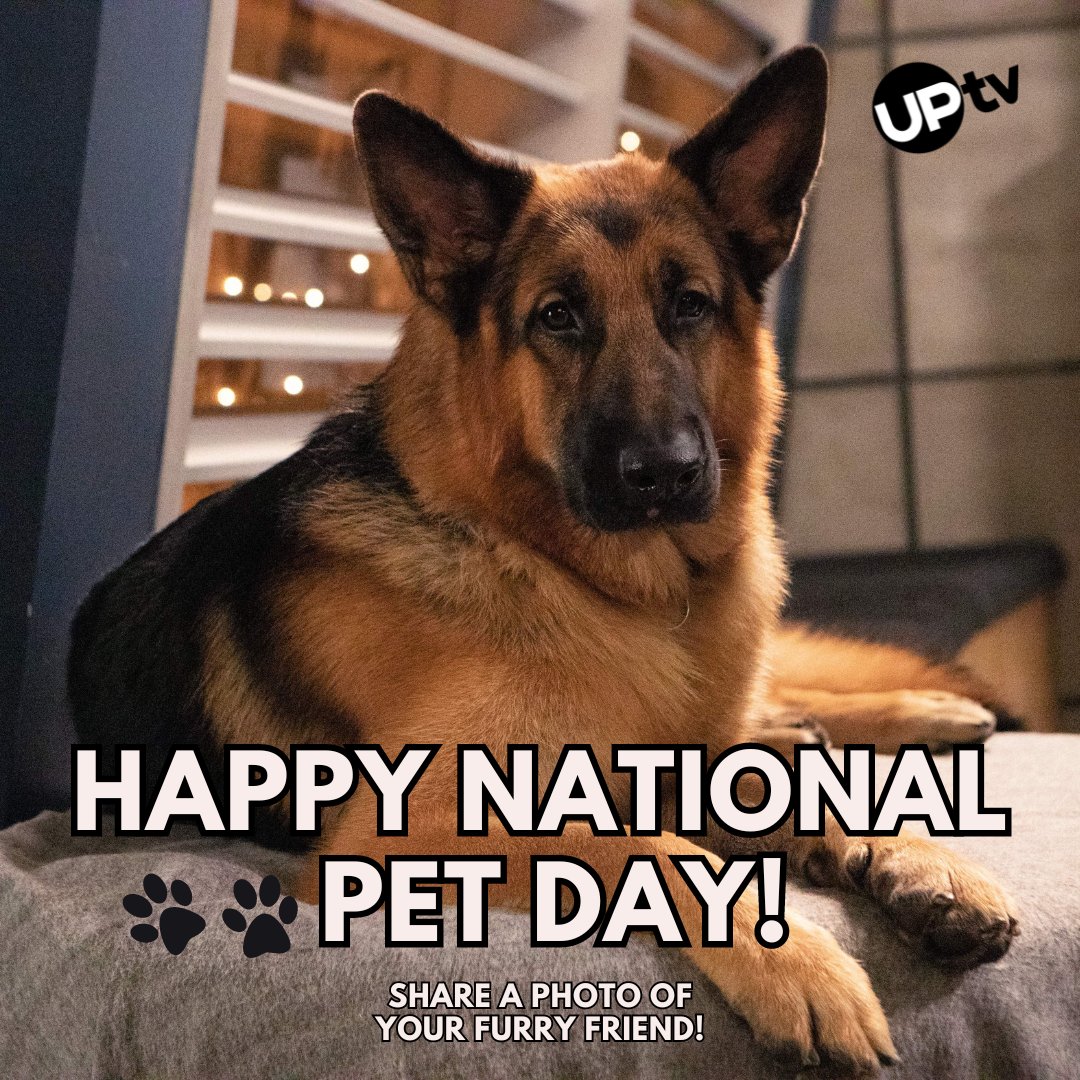 Paws up if you’re celebrating #NationalPetDay! 🐾 Show us your cuddly companions and let’s fill our feed with furry faces! 🐶