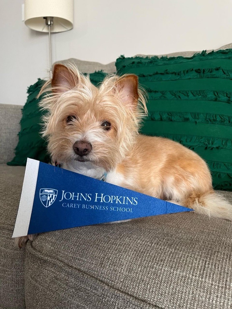 JHUCarey's tweet photo. Paws what you're doing!
In honor of #NationalPetDay, we're taking a moment to thank all of the Carey companions that support our students, faculty, and staff as they #BuildForWhatsNext. https://t.co/icz0mePlkG