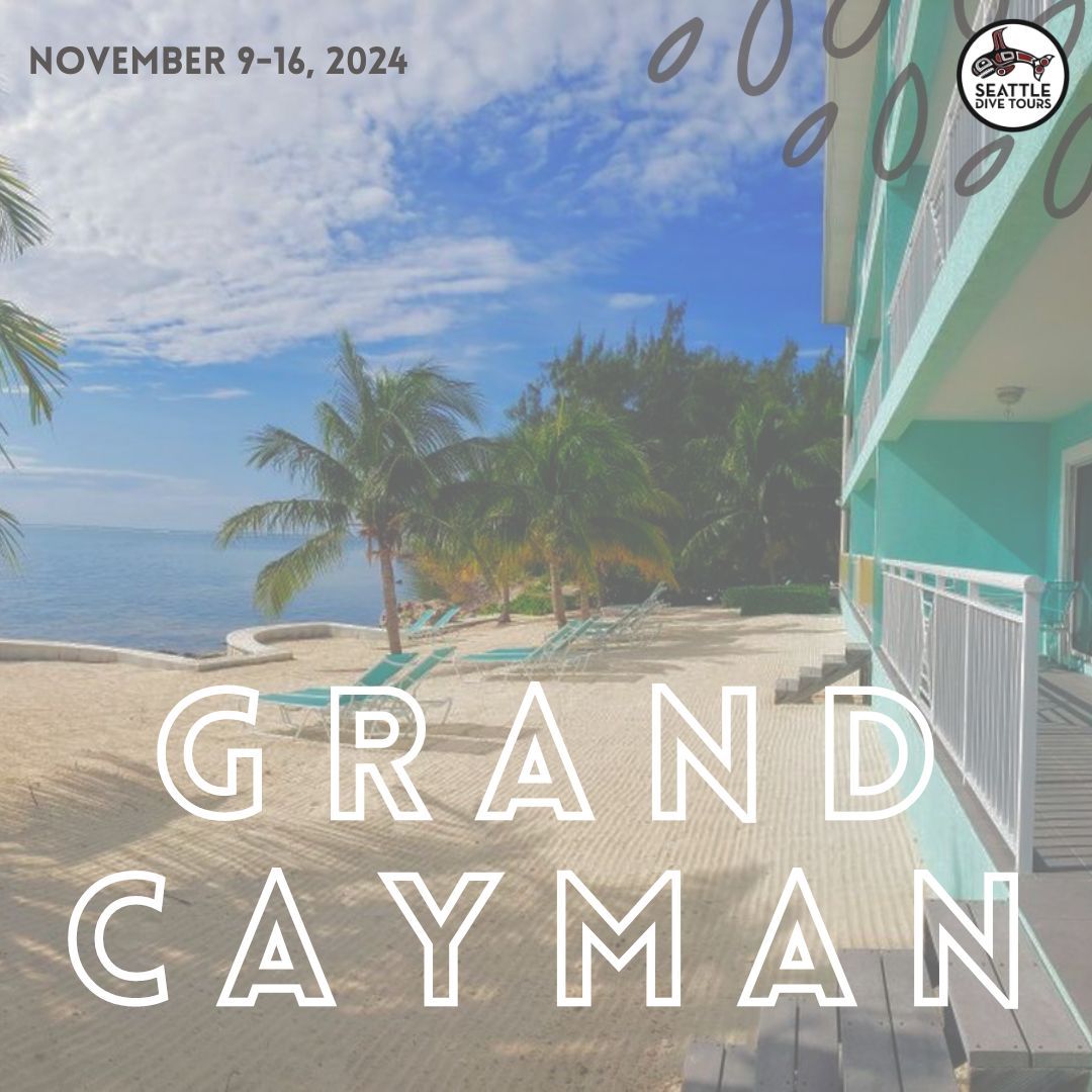 Travel Thursday: Come join us for a week of diving and relaxation in Grand Cayman! You'll have the opportunity to marvel at many marine critters, such as sea turtles, sharks, and stingrays. 

November 9-16, 2024 
Link in Bio