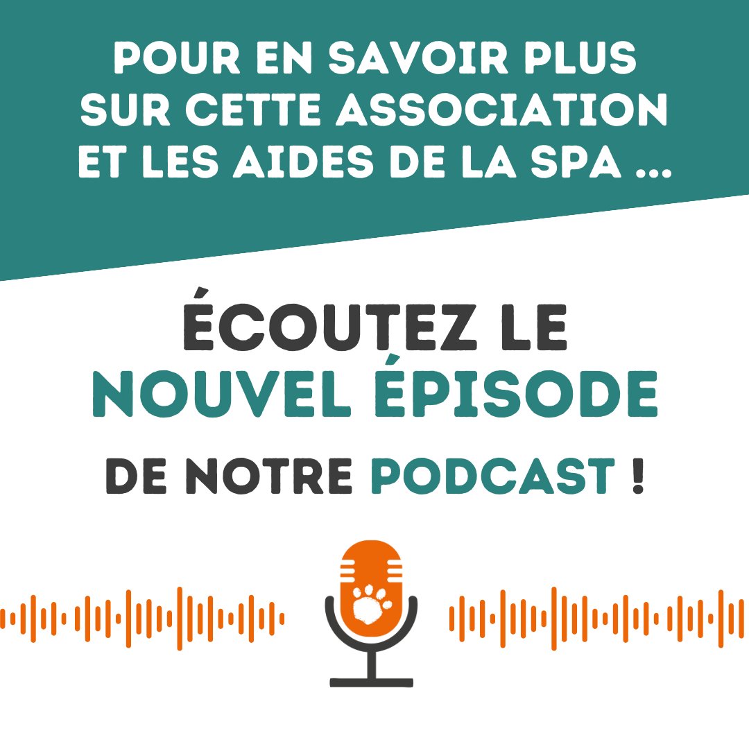 🎙️​[Petcast] Découvrez dans ce nouvel épisode une association soutenue par la SPA, qui protège les reptiles ! 🎧​ A écouter ici : smartlink.ausha.co/petcast-le-pod…