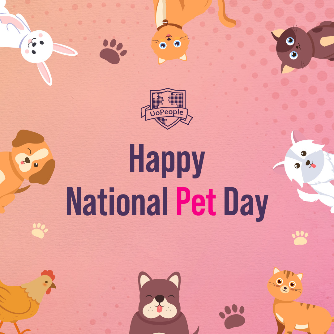 Happy National Pet Day! 🐶🐱 Today, let's celebrate the joy, love, and companionship our study buddies bring into our lives! Reply to this with a picture of you and your study buddy! #UoPeople #NationalPetDay