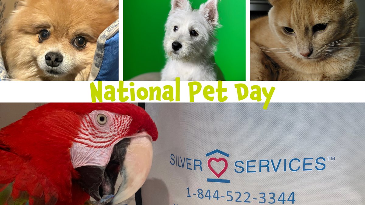 Happy National Pet Day to all the furry, feathery, and scaly friends out there! 🐾🎉

#Heart2Home 💕🏡 #HappyAtHome #HealthyAtHome #SeniorHomeCare #IndependentLiving #LifeIsToBeLived #furbaby #petlove