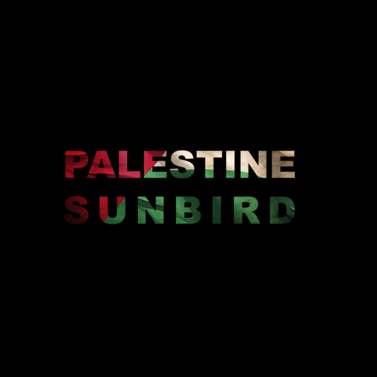 I wrote this song in response to the unfolding genocide in G@z@. The Sunbird was declared the national bird of P@lestine in 2015 after the Israeli occupation authorities tried to change it's name in their efforts to erase P@lestinian identity. youtube.com/watch?v=AOXqYx…