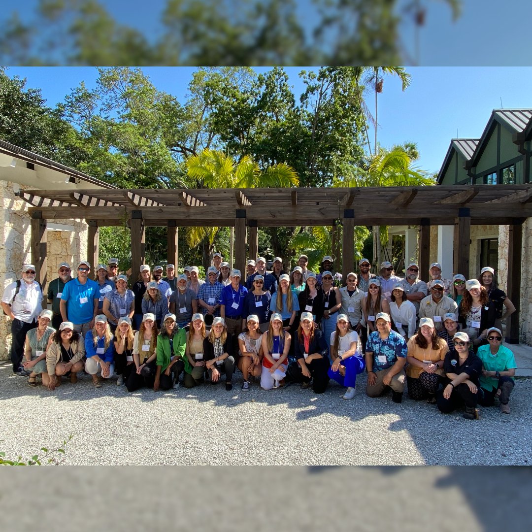 Our research team attended the Mangrove Coast Collaborative: Science and Management Form in Coral Gables in February. This meeting was designed to increase the understanding of mangrove management needs following disturbances. #Onelagoon #ScienceForum #EnvironmentalScience