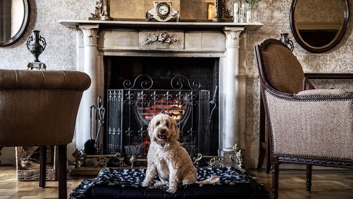 Stylish Spy rounds up the best #spahotels that welcome man’s best friend #dogfriendly #luxuryspas #nationalpetday ow.ly/Rit050PItQT