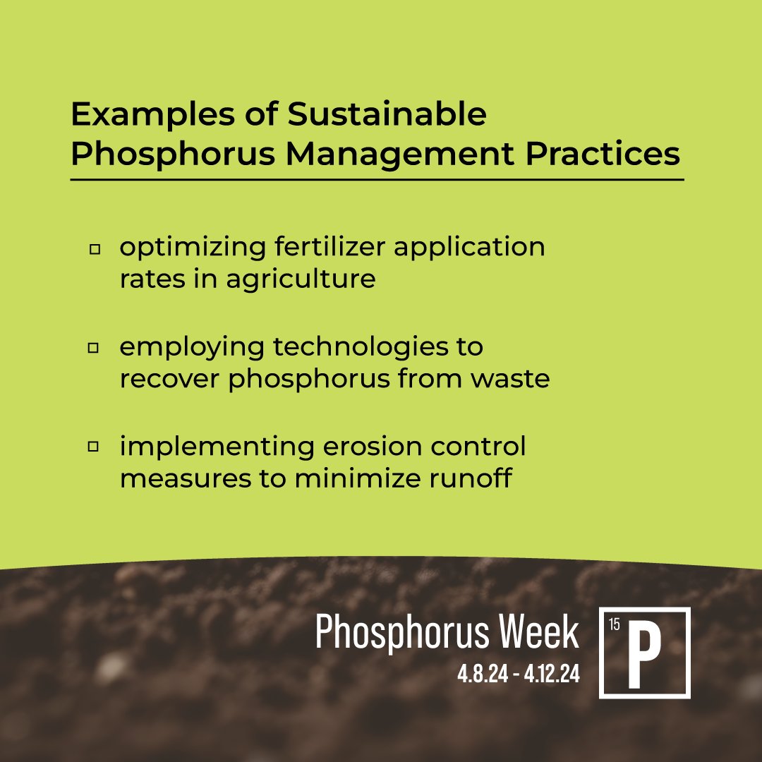 Sustainable phosphorus management ensures long-term agricultural productivity and conserves phosphorus. #PWeek2024