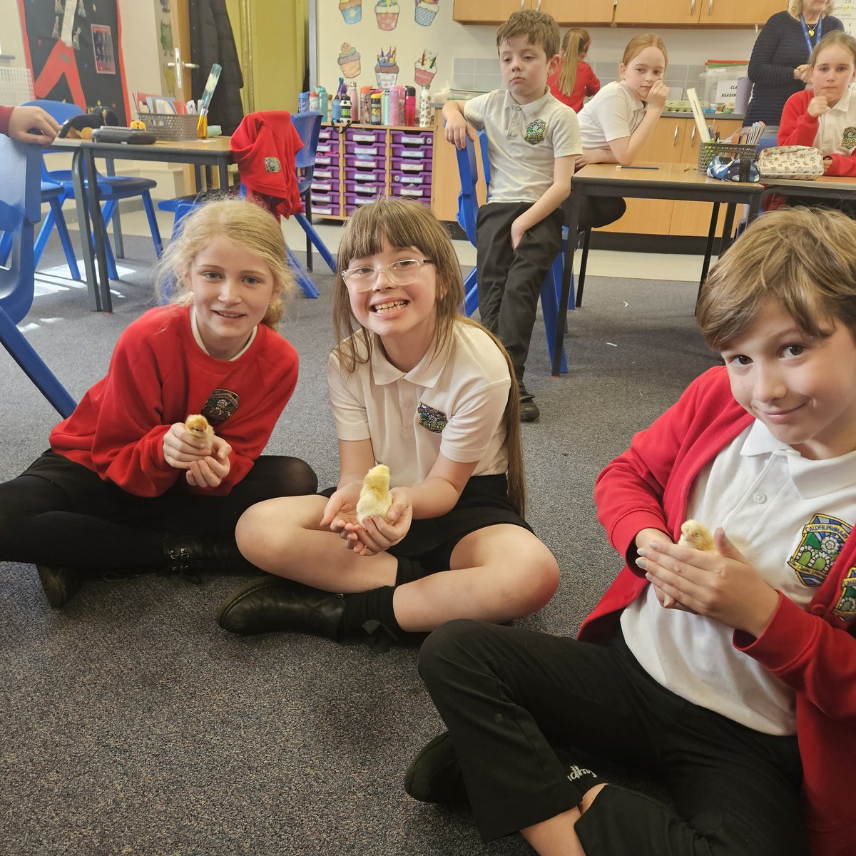 Class 2 tweet media