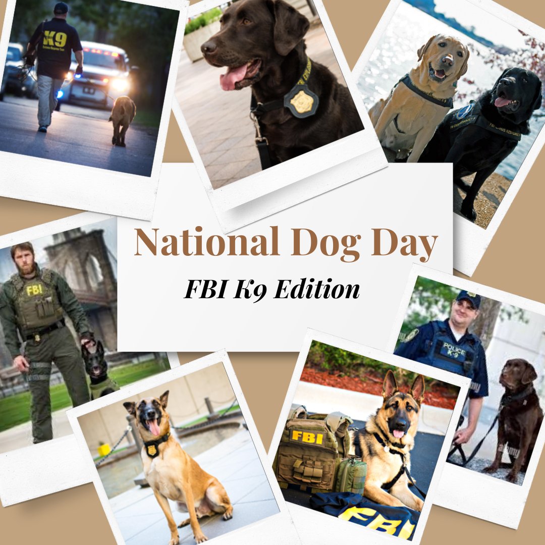 On #NationalPetDay we honor our working #K9 partners that comfort, protect and save us every day.