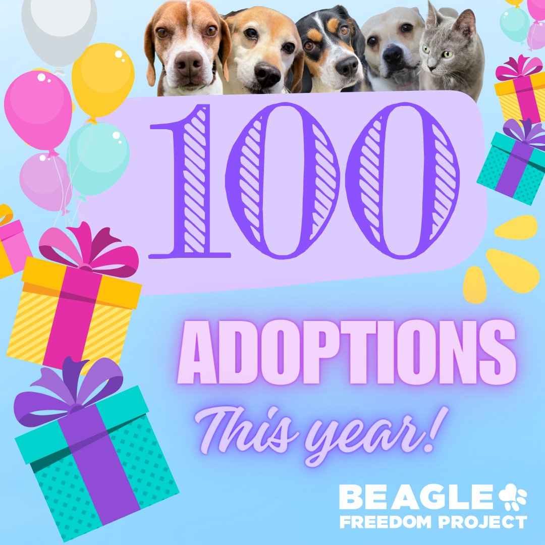 We have an exciting announcement... Since January 1st, we have found families for ONE-HUNDRED laboratory testing survivor dogs and cats! 🎉🎈 This is a new record for BFP! We are so thankful to the incredible families who have opened their homes to our brave babies. 🐾