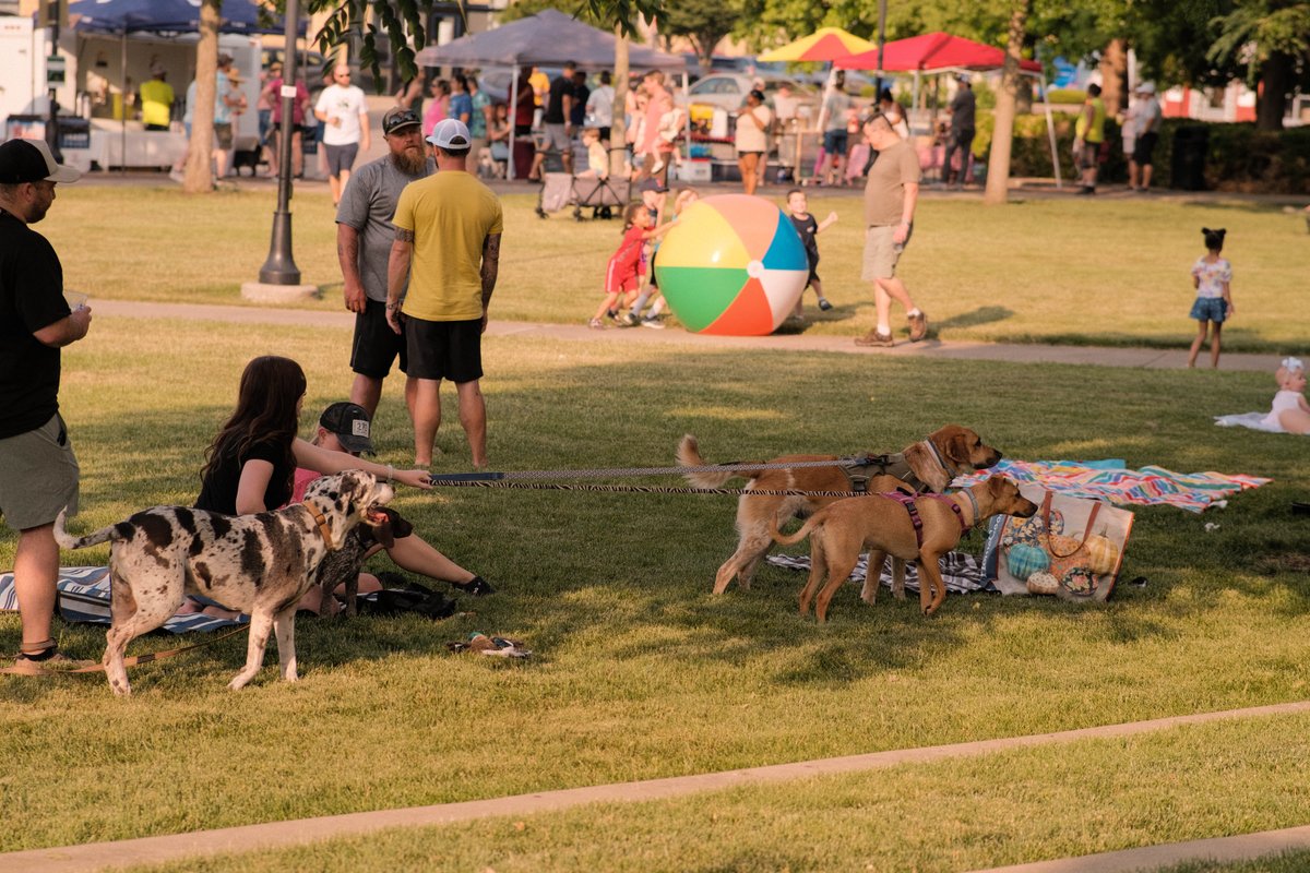 Duncan Hines Days is fun for the whole family! In honor of #NationalPetDay, check out these photos of our furry friends enjoying last year's festivities. 🐶 😍 We can't wait for you and your four-legged family members to join us again this June! 🐕 😎