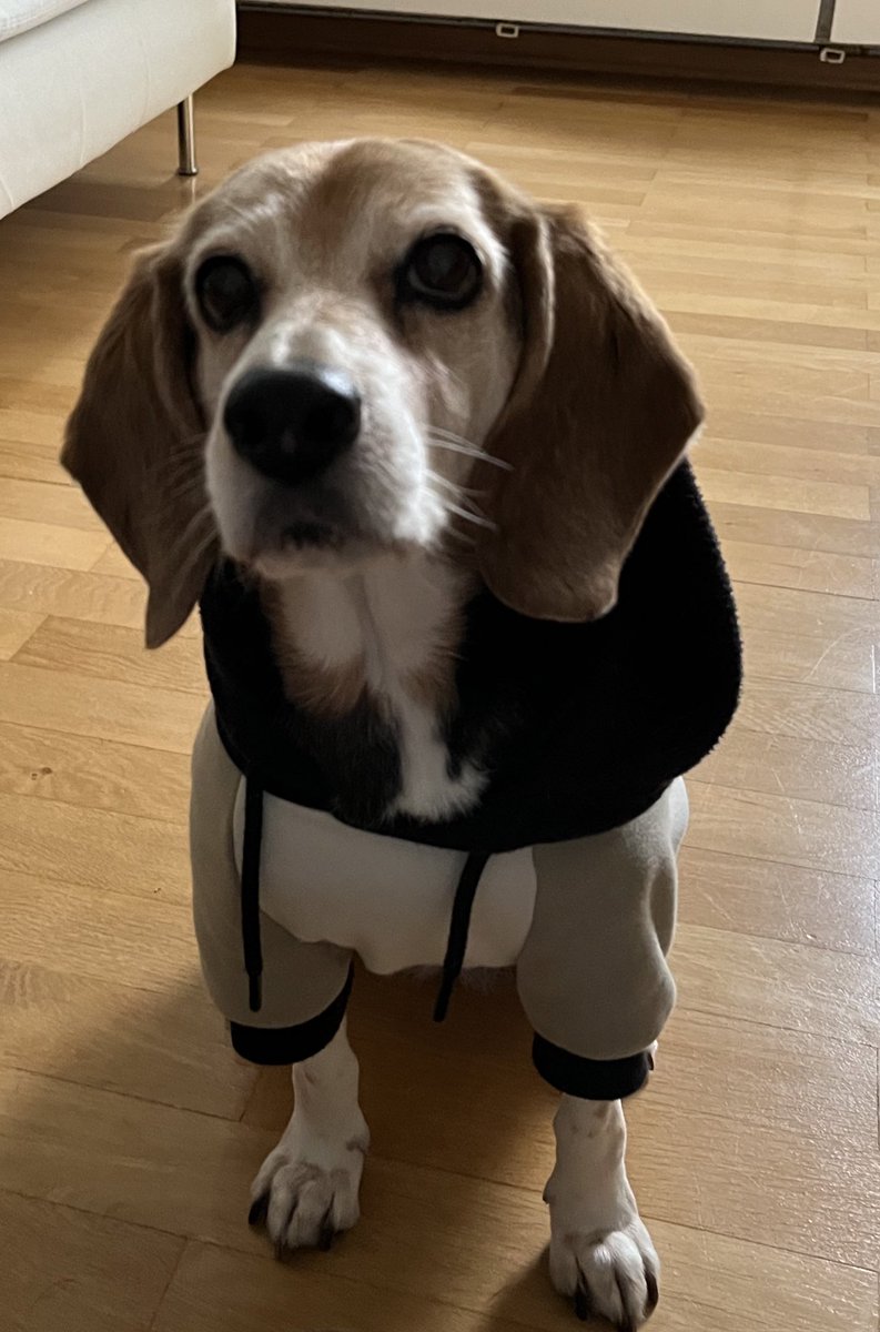 ehaffson tweet media