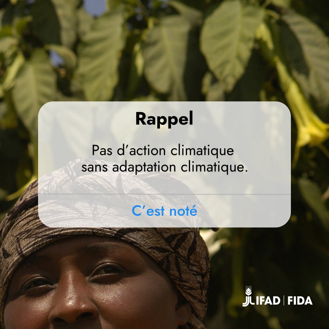 🚨L’#AdaptationClimatique n’est pas une option, c’est un impératif.