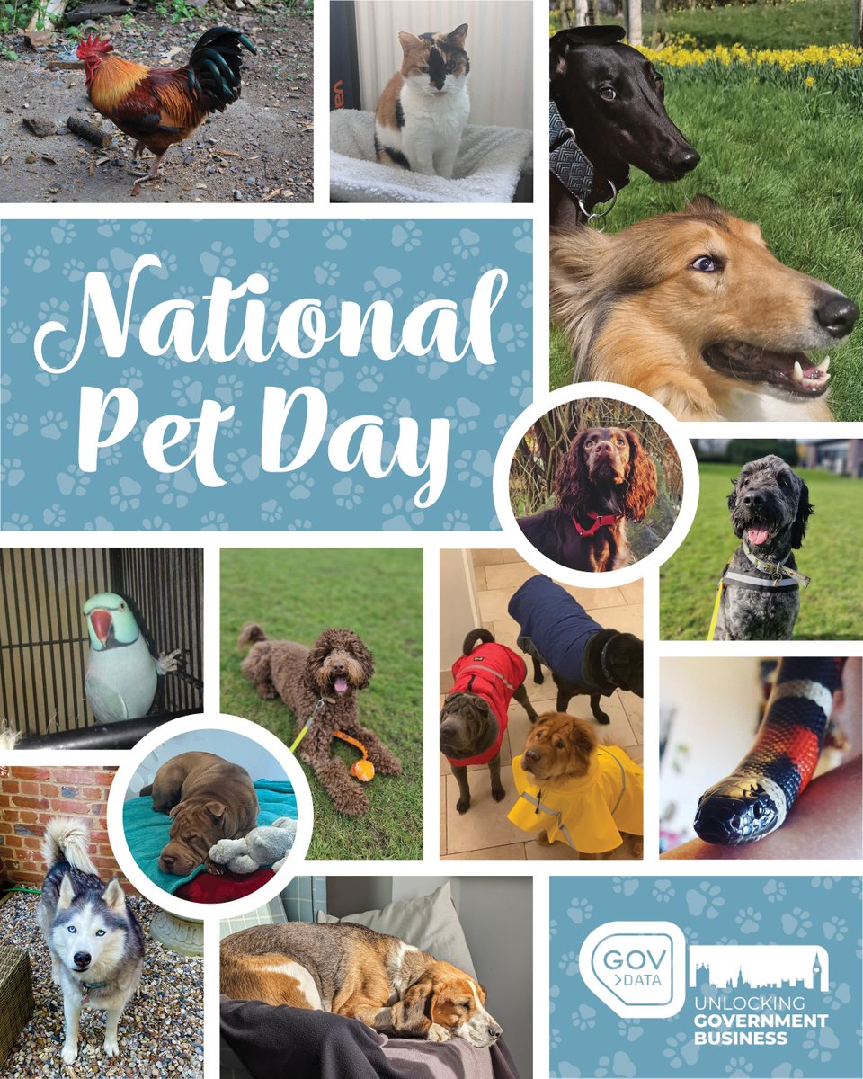 Happy National Pet Day! 🐾

Today, we're celebrating the loyal companions of the GovData team.

Share the love by posting your favourite pet photos! ❤️

#nationalpetday #nationalpetmonth #petsofgovdata