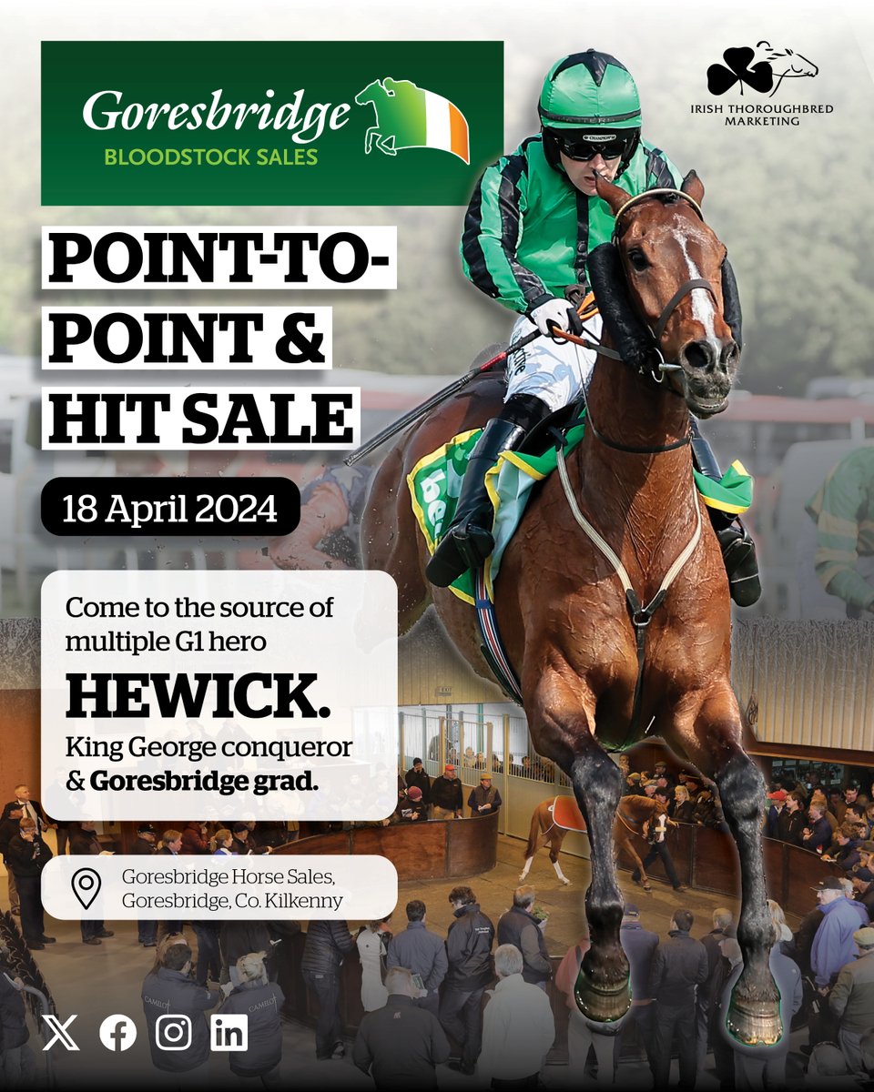 Just one week until @Goresbridgesale P2P & HIT Sale! Classy catalogue featuring winners & hot prospects from some of the best handlers in the game. 👌🇮🇪 🗓️ Thursday 18 April 2024 📍 Goresbridge, Co. Kilkenny 📖 bit.ly/3xi4xXS 💻 Online bidding available