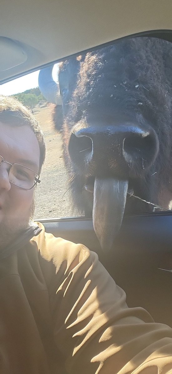 you mean this is bad?