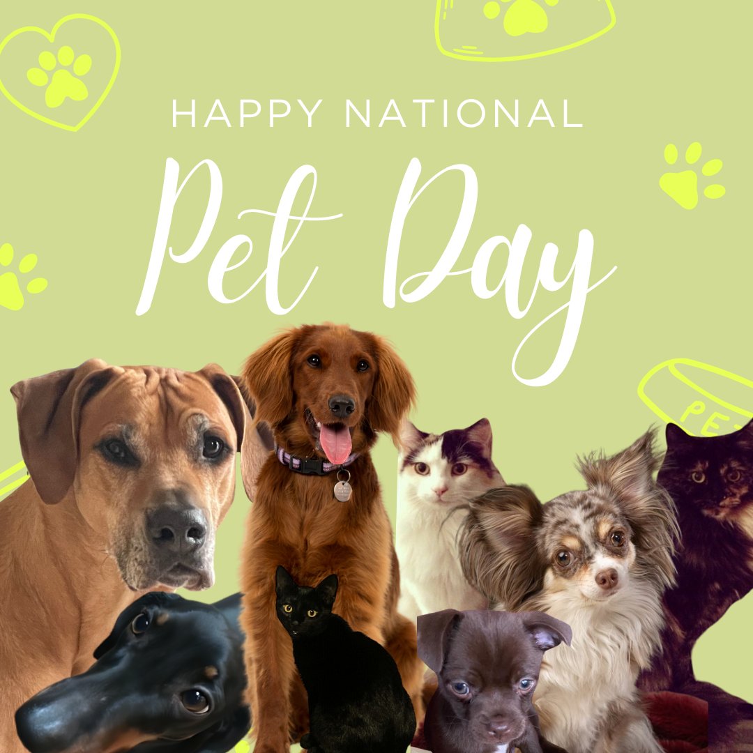 Happy National Pet Day from the pawsome MBM Family 🐶🐱

Here's a few of our loving furry companions to brighten your day! 💚

#nationalpetday #familypets